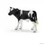 Veau Holstein