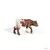 Veau Texas Longhorn