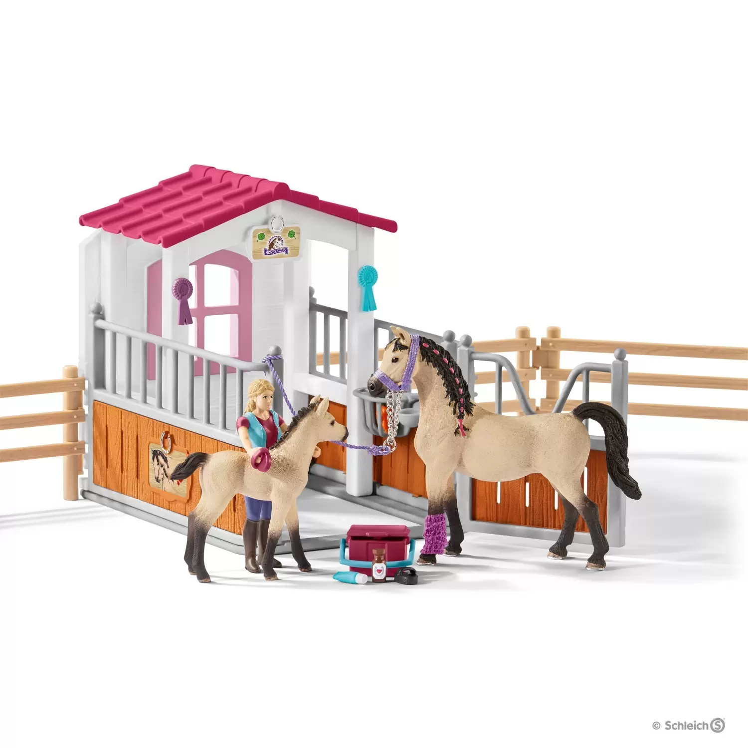Horse Club - Box avec chevaux arabes et soigneuse de chevaux