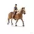 Cavalière amatrice