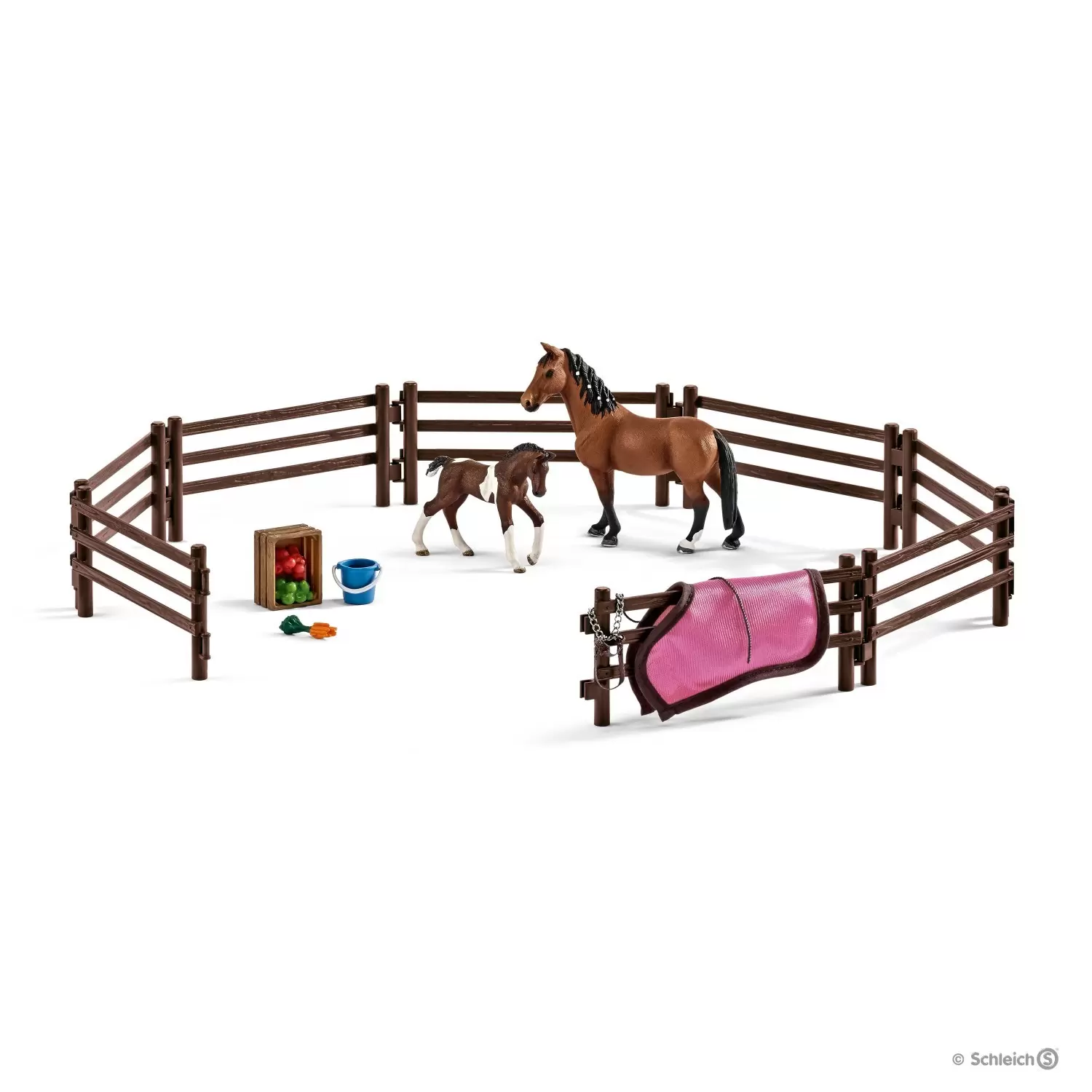 Horse Club - Enclos