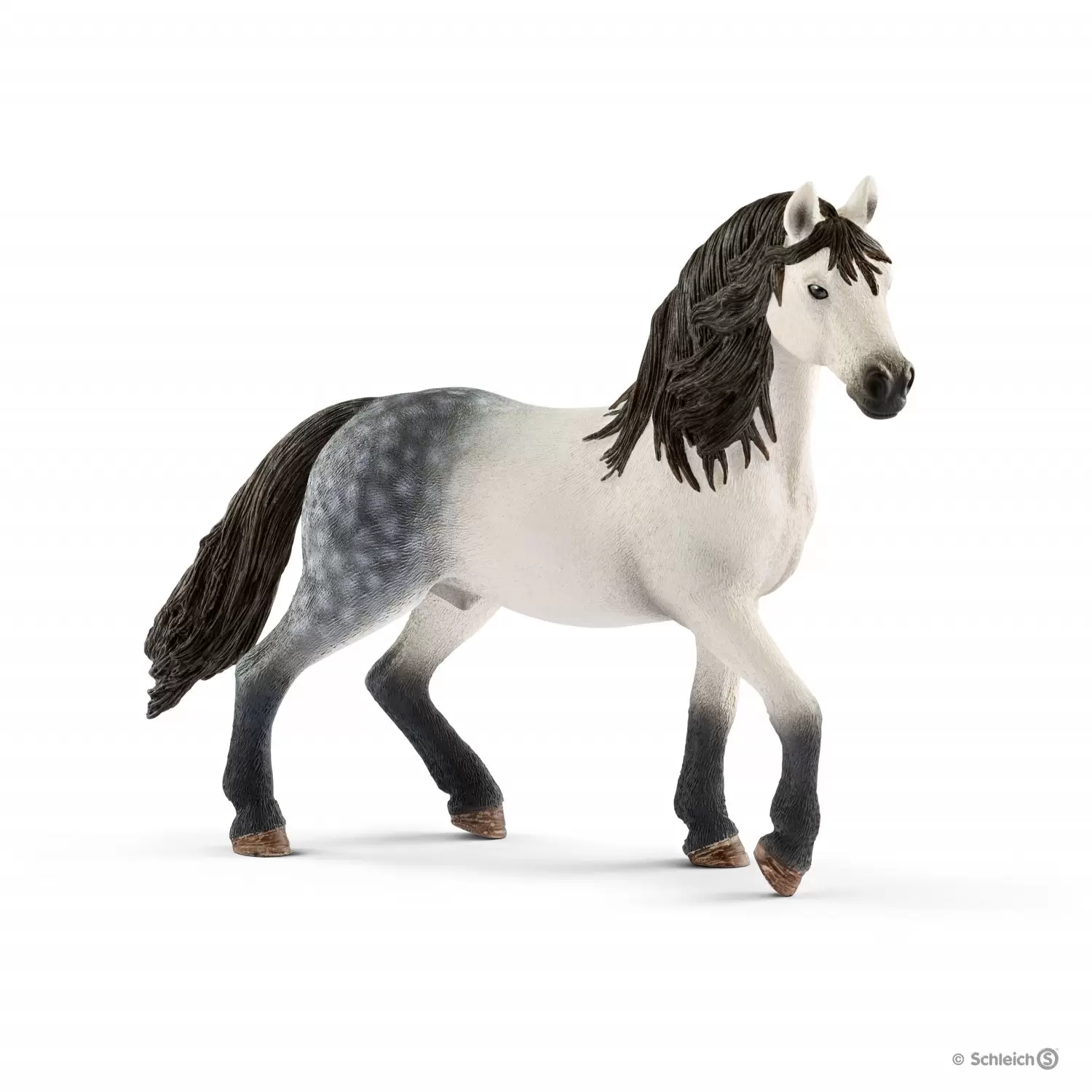 Horse Club - Étalon andalou