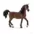 Horse Club - Etalon arabe
