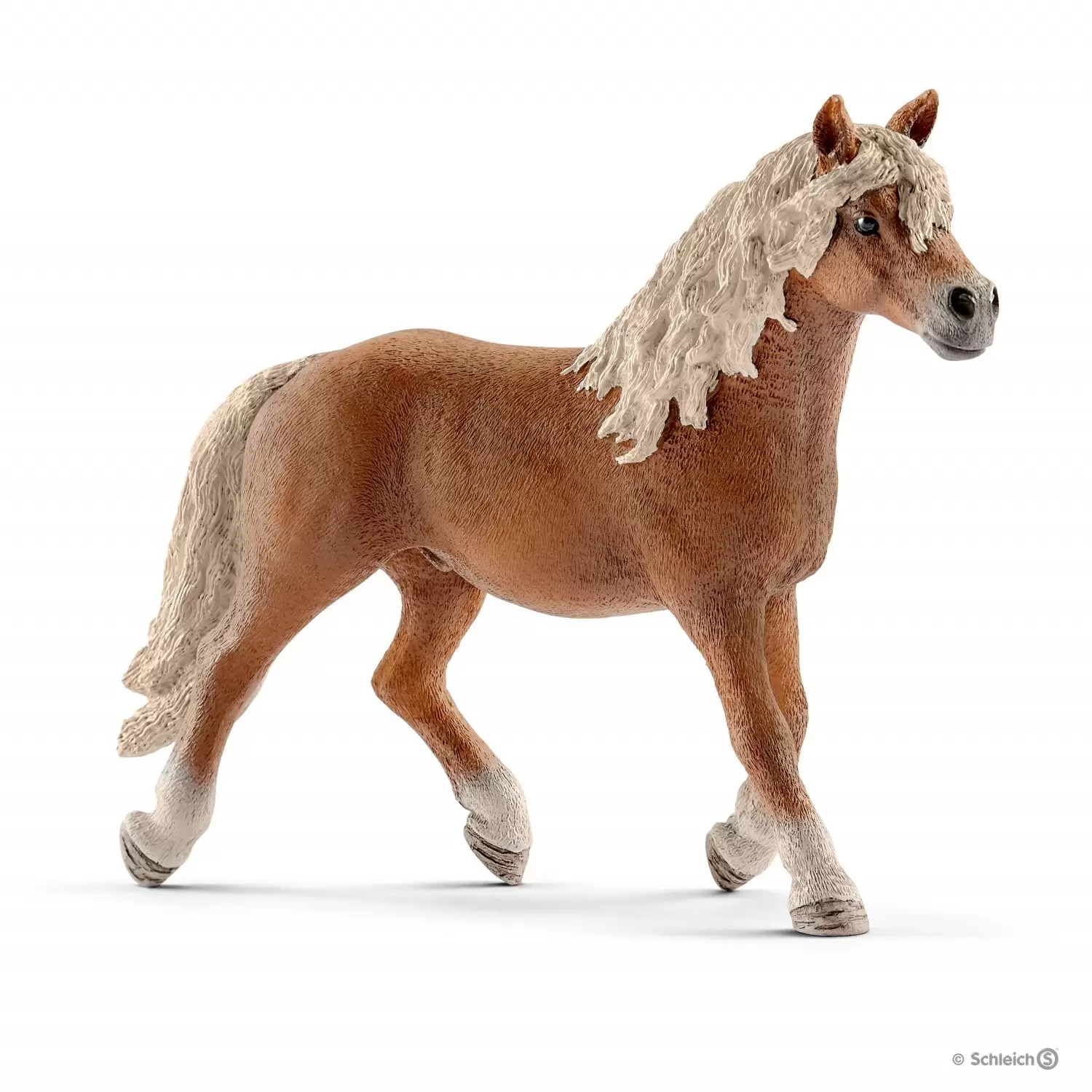 Horse Club - Étalon Haflinger