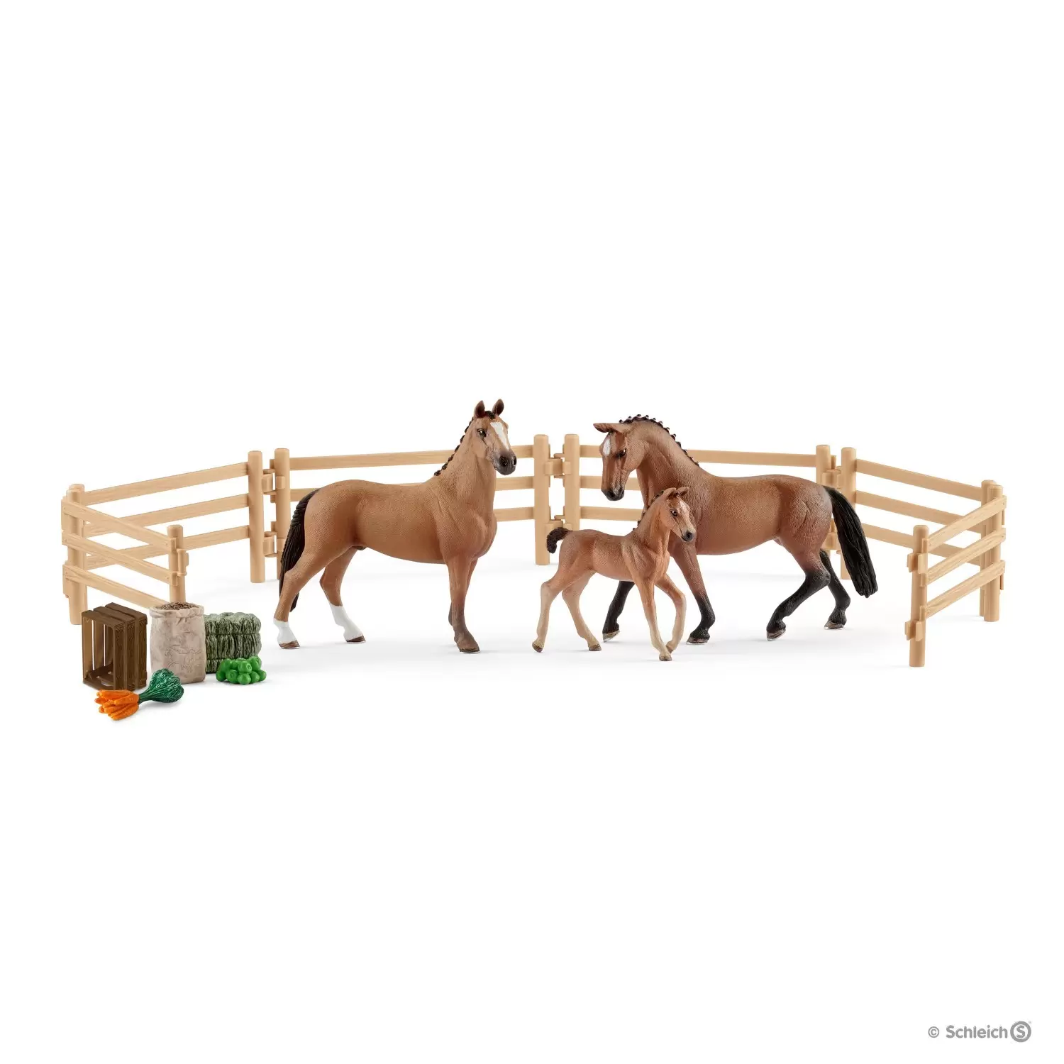 Horse Club - Famille d’Hanovriens dans la prairie