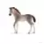 Horse Club - Poulain andalou