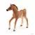 Horse Club - Poulain avec couverture