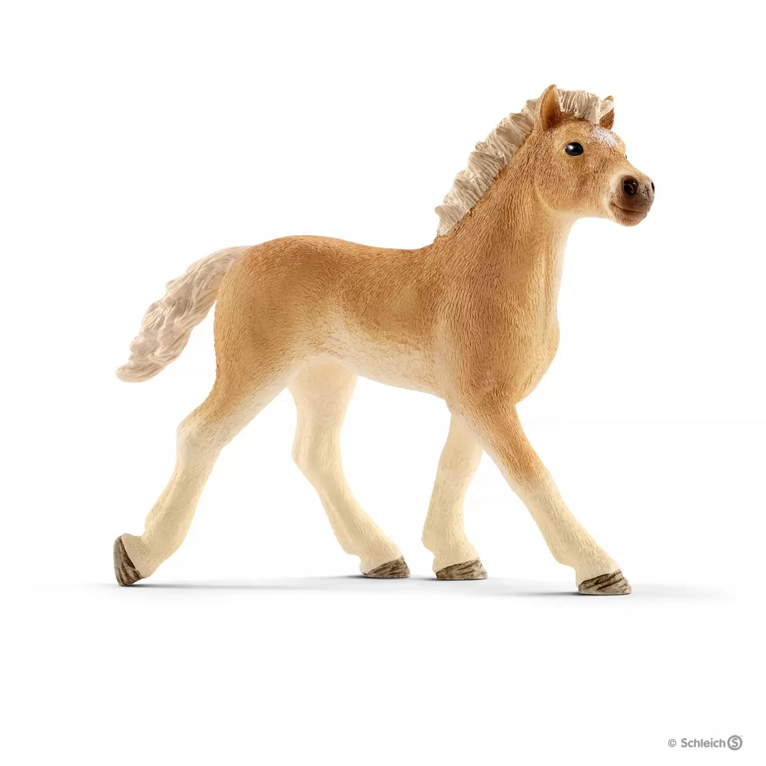 Horse Club - Poulain Haflinger
