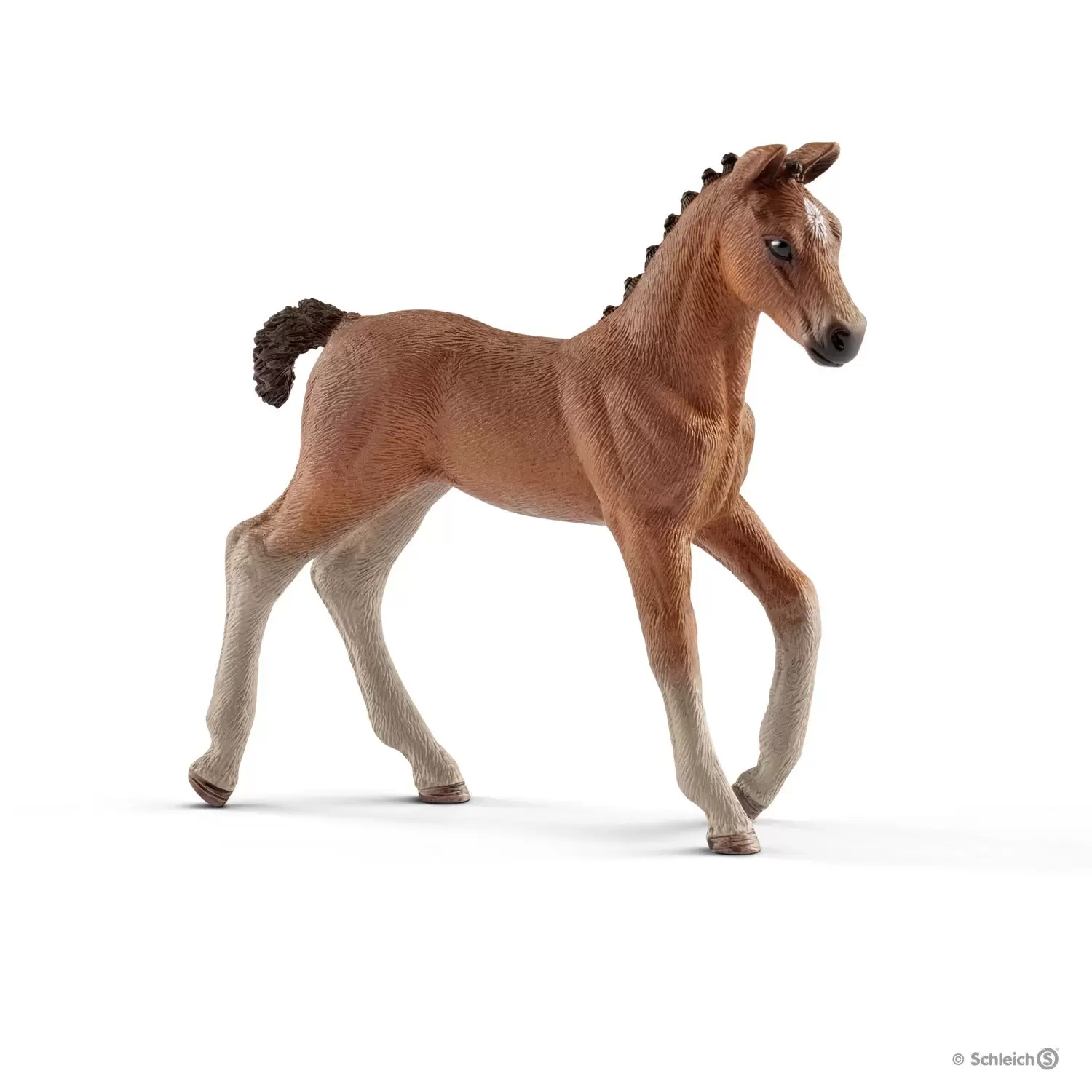 Horse Club - Poulain Hanovre