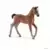 Horse Club - Poulain Hanovre