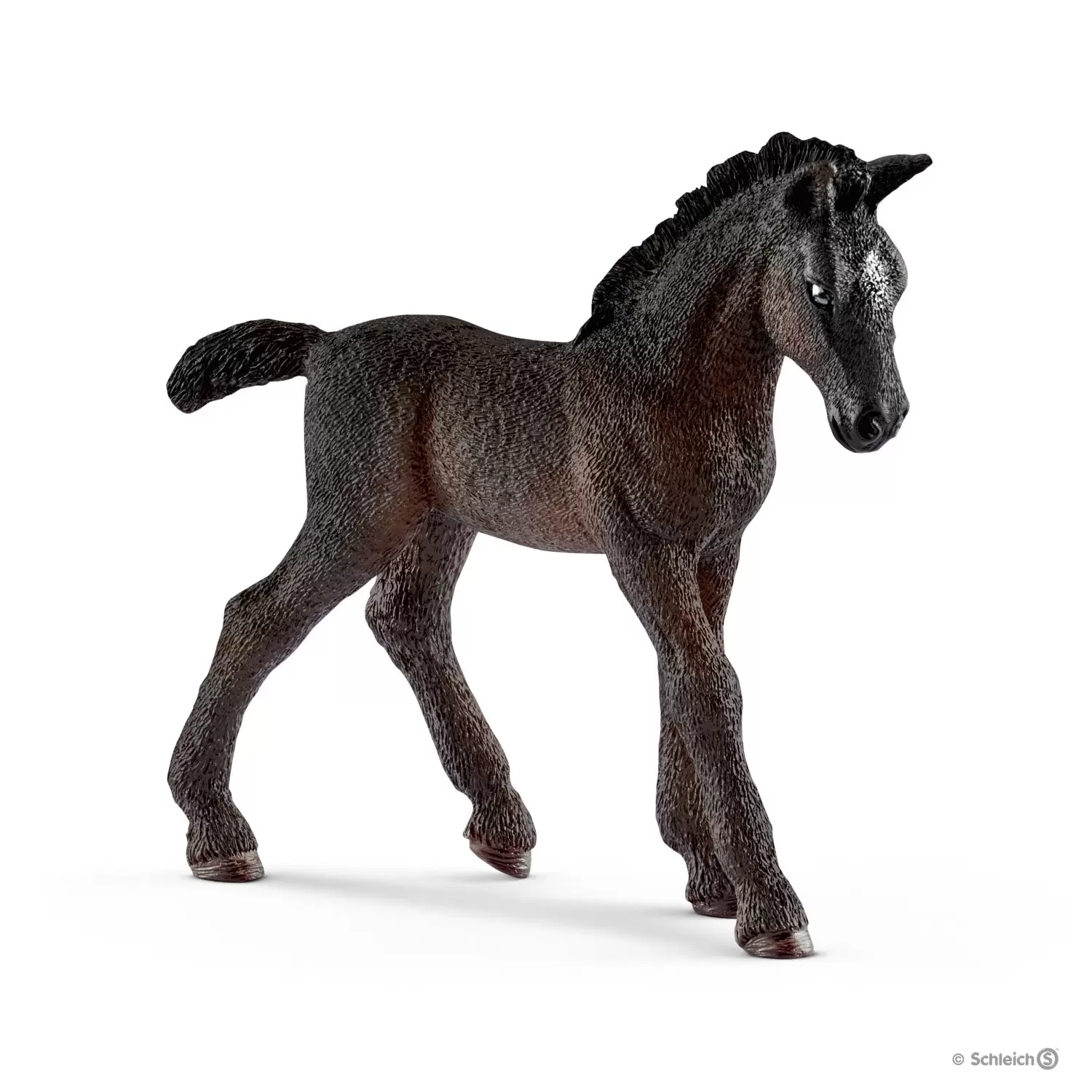 Horse Club - Poulain Lipizzan