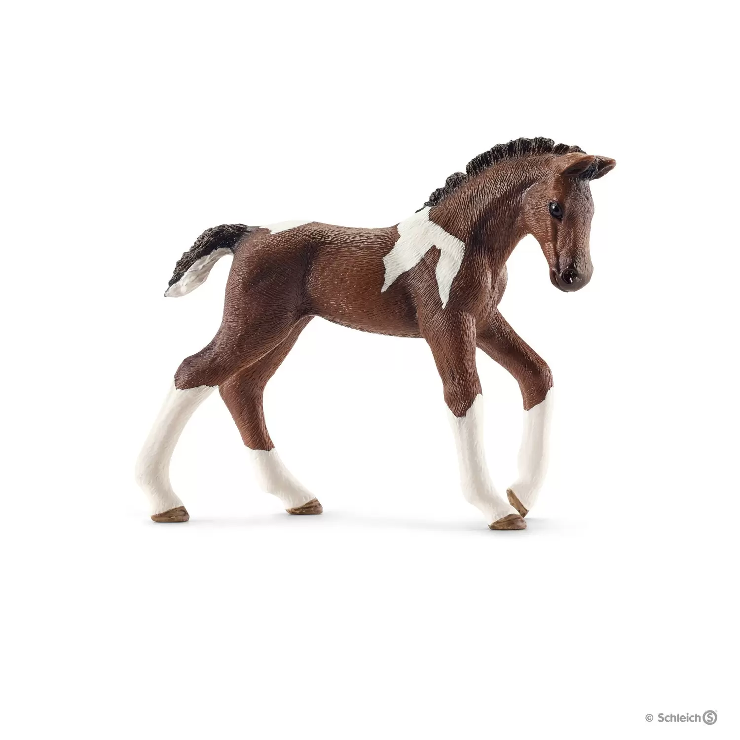 Horse Club - Poulain Trekehnen
