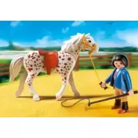 Knabstrupper Horse with Trainer and Stable