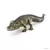 Wild Life - Alligator
