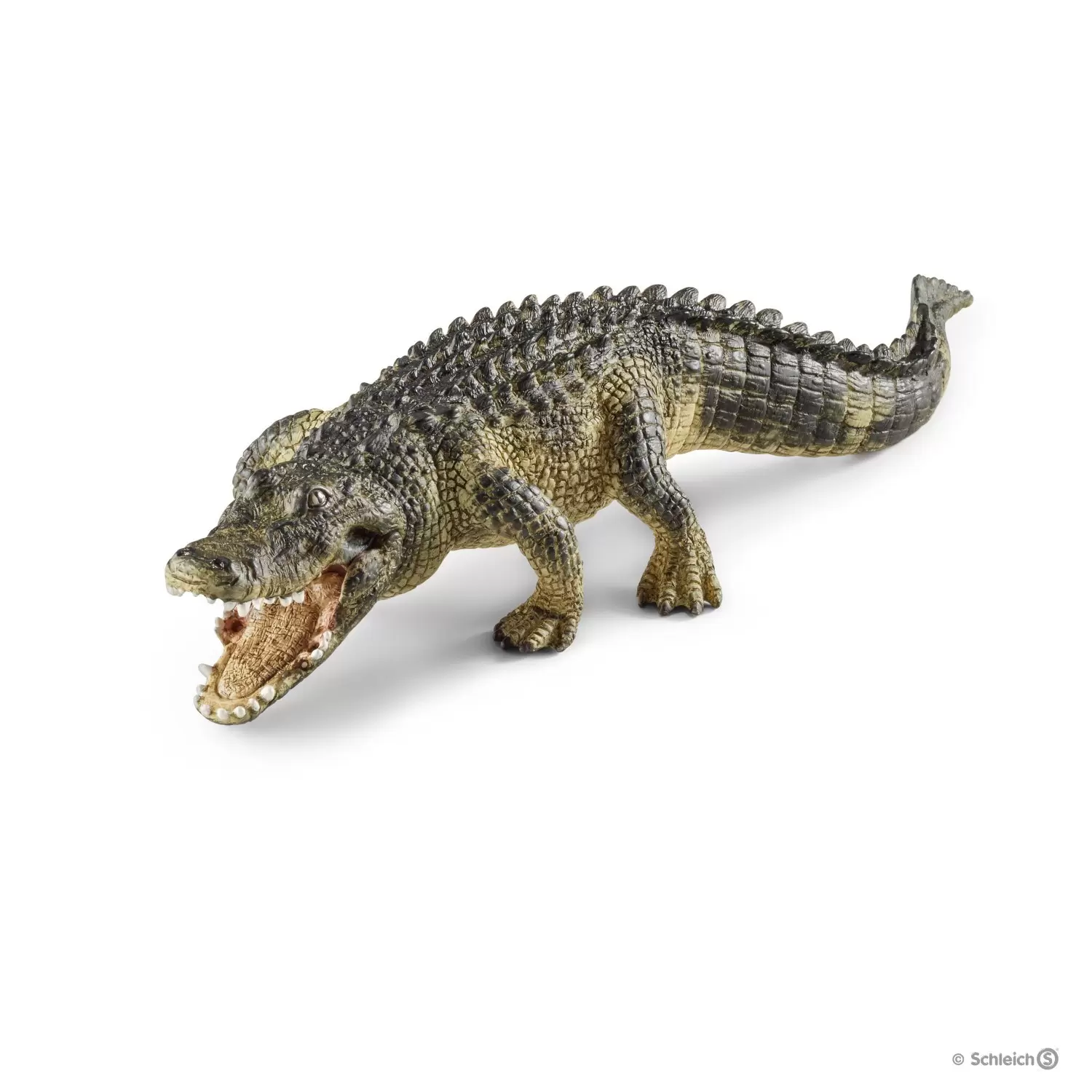 Wild Life - Alligator