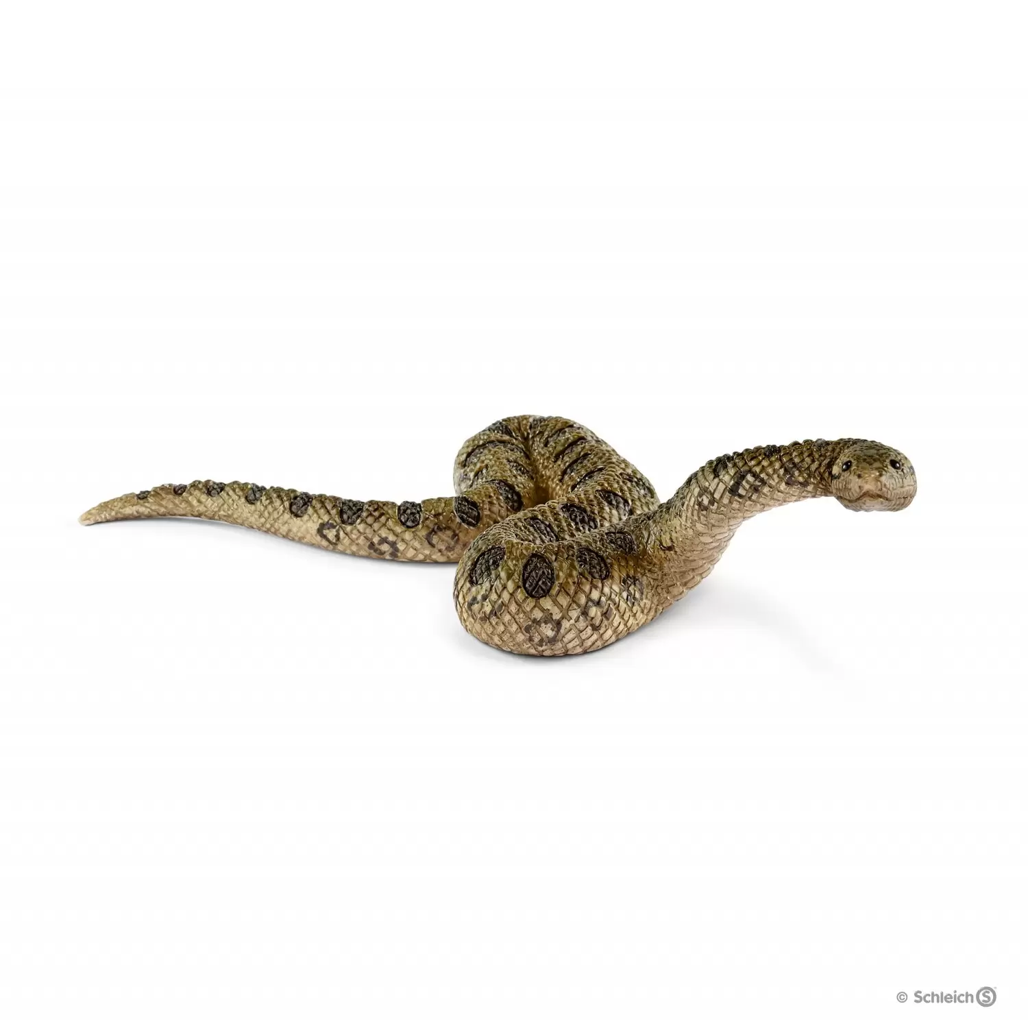 Wild Life - Anaconda géant