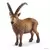 Wild Life - Animaux de la montagne