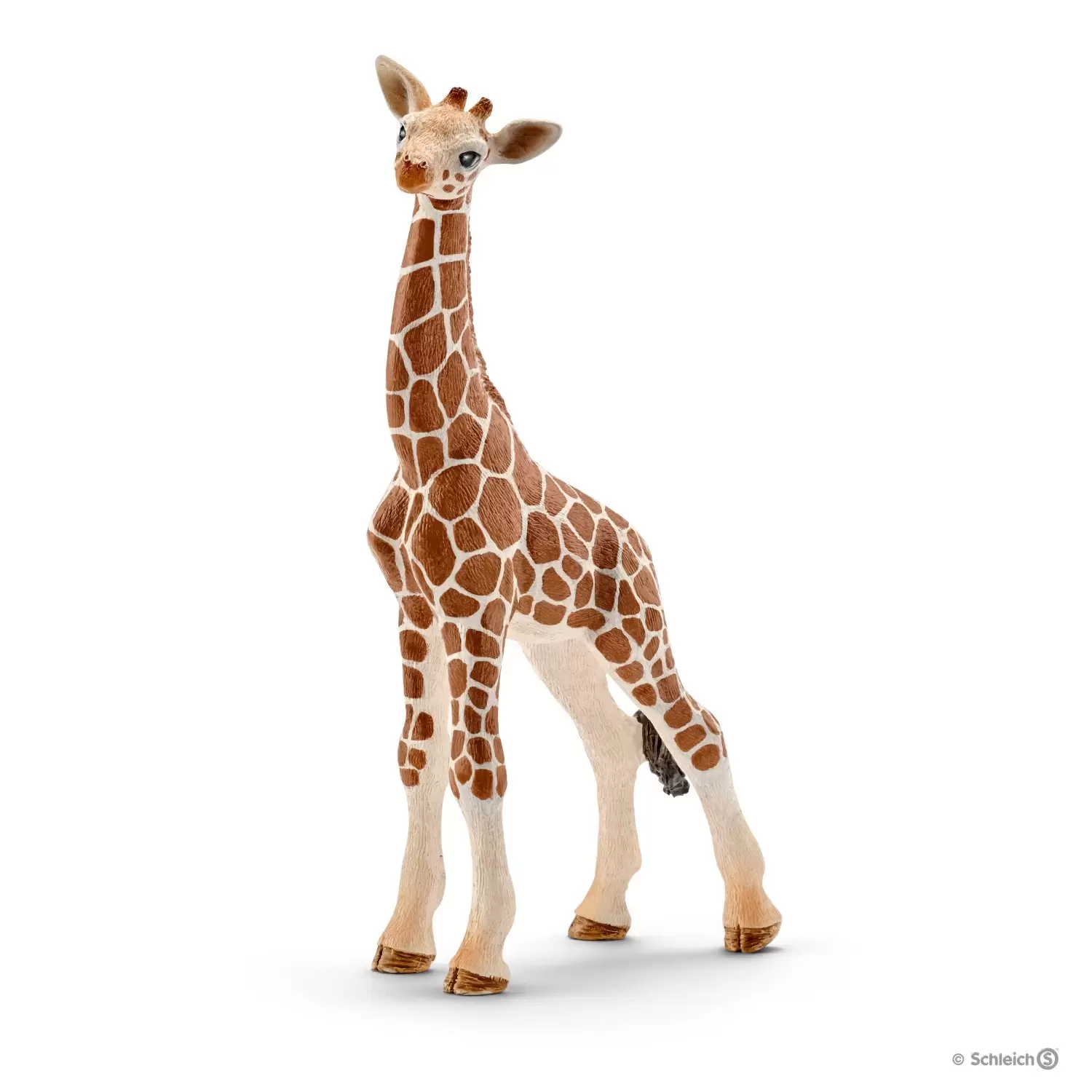 Wild Life - Bébé girafe
