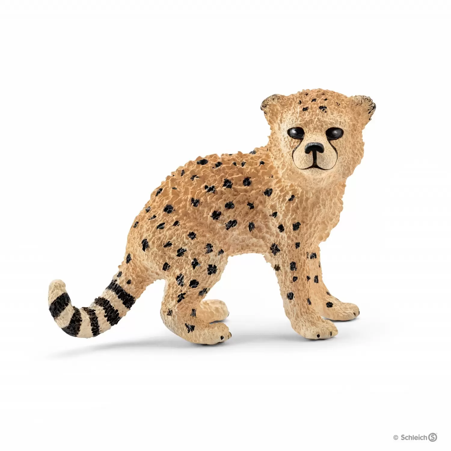 Wild Life - Bébé guépard
