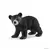 Wild Life - Bébés animaux de la forêt