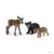 Bébés animaux de la forêt