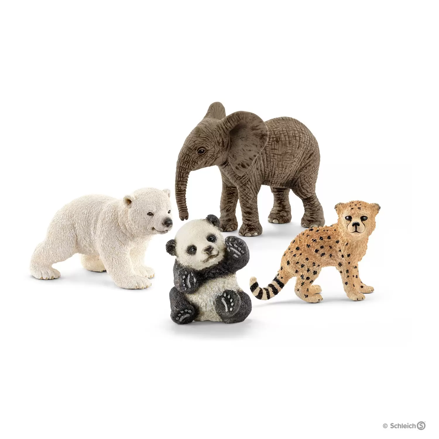 Wild Life - Bébés animaux sauvages