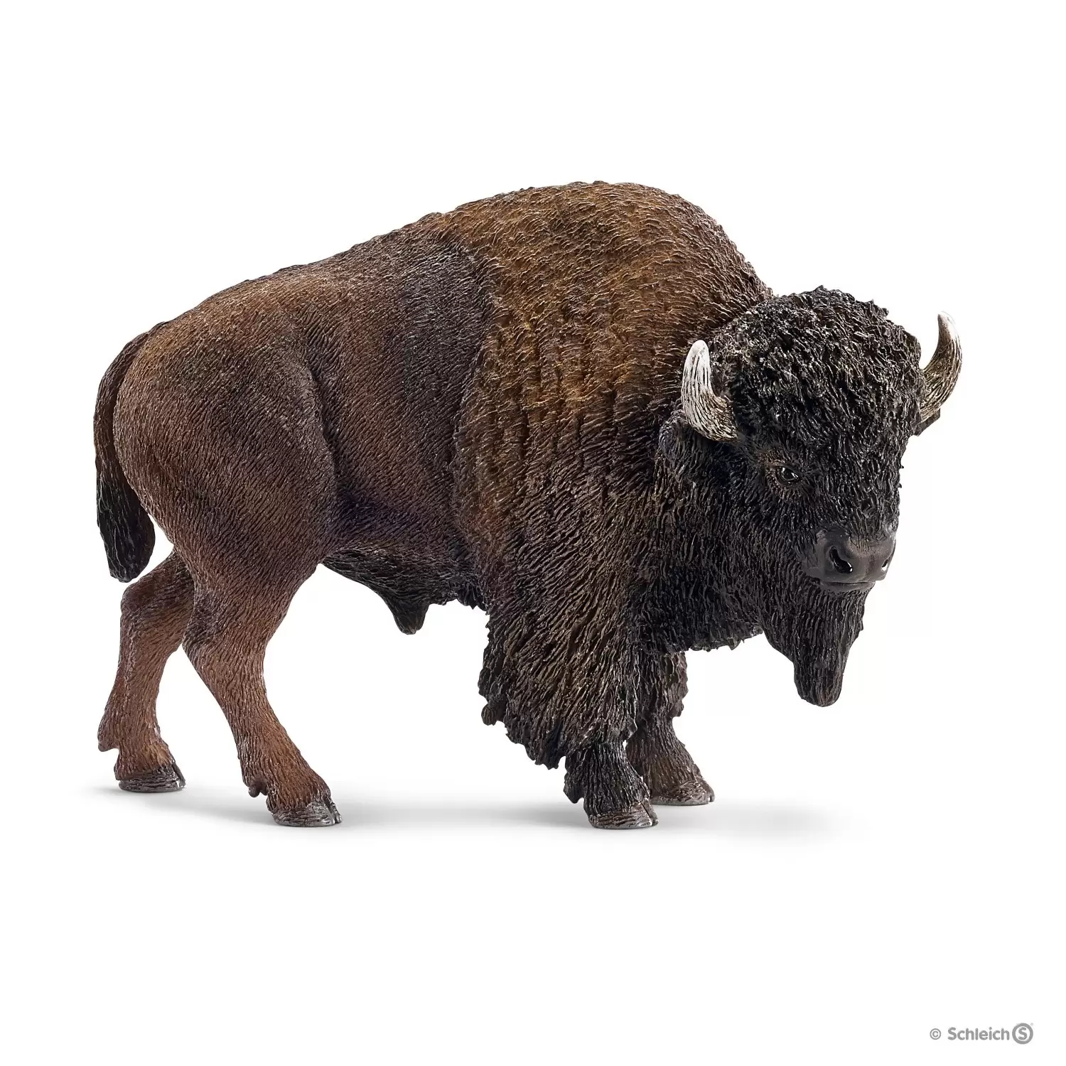 Wild Life - Bison