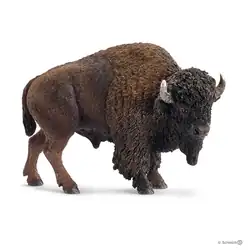 Bison
