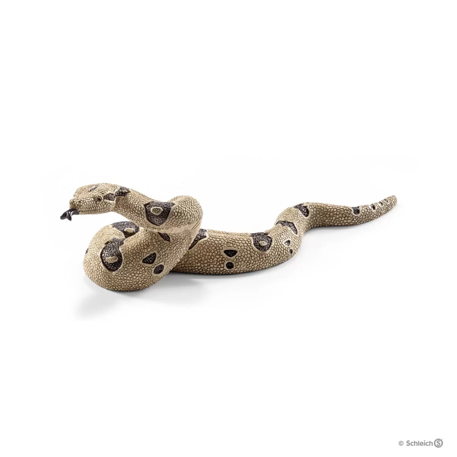 Wild Life - Boa constrictor