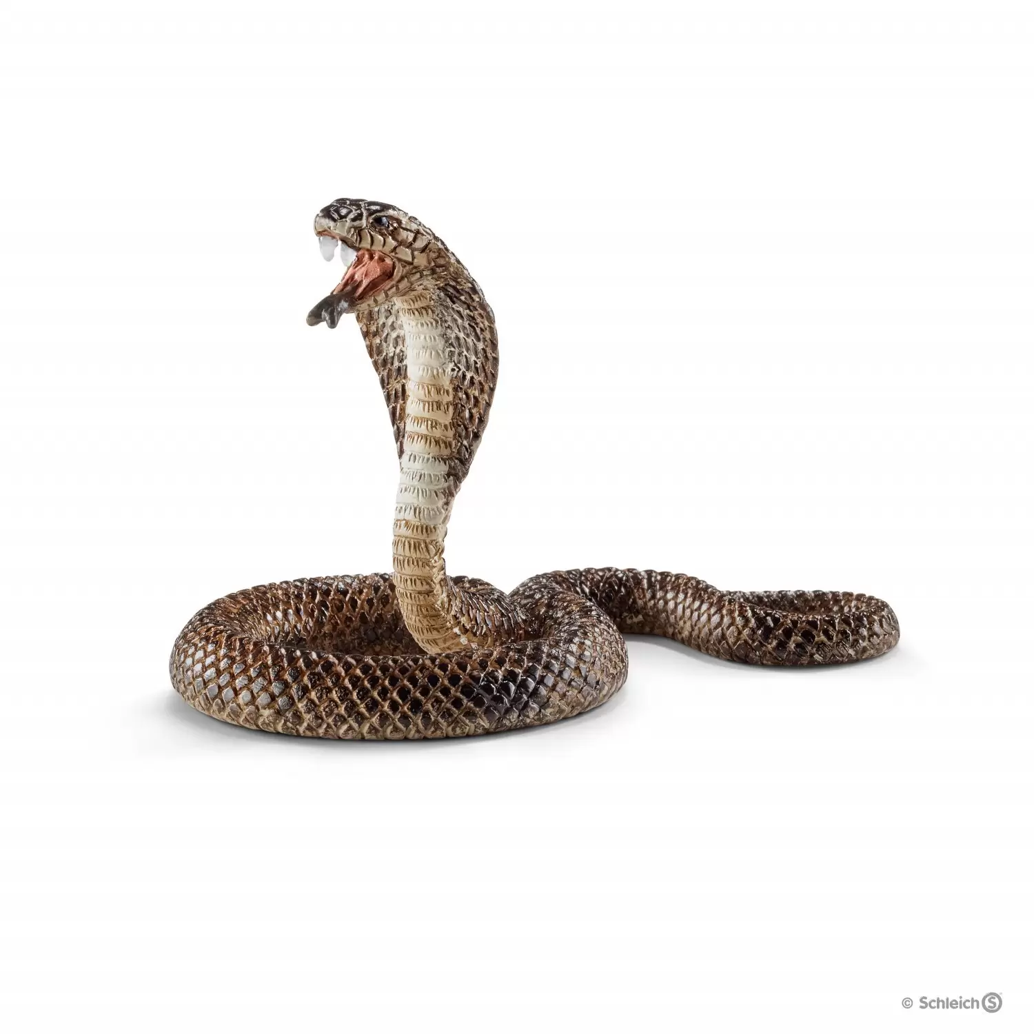 Wild Life - Cobra
