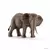 Wild Life - Éléphant d\'Afrique femelle