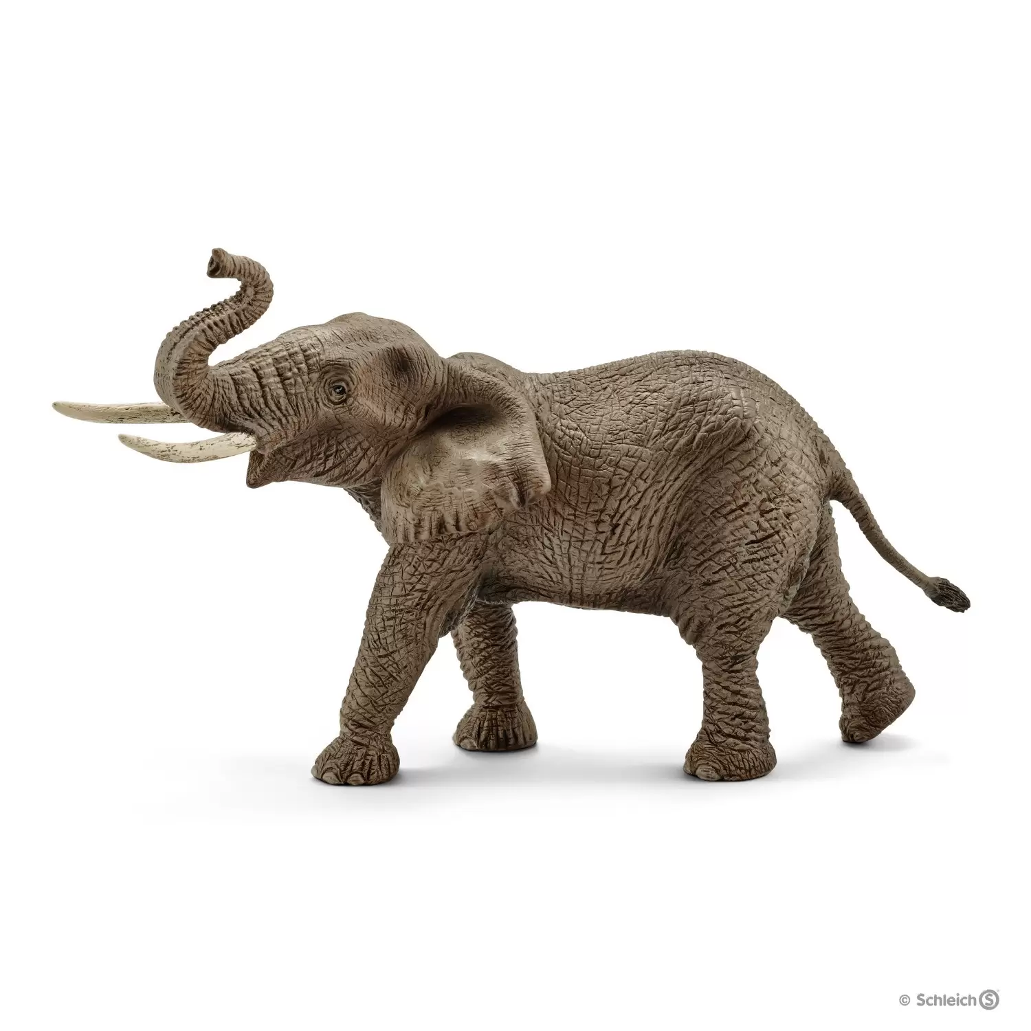 Wild Life - Éléphant d\'Afrique mâle