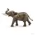 Wild Life - Éléphant d\'Afrique mâle