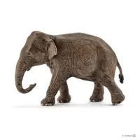 Eléphant d’Asie, femelle