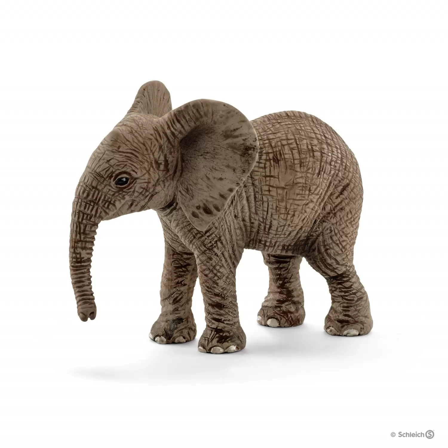 Wild Life - Éléphanteau d\'Afrique