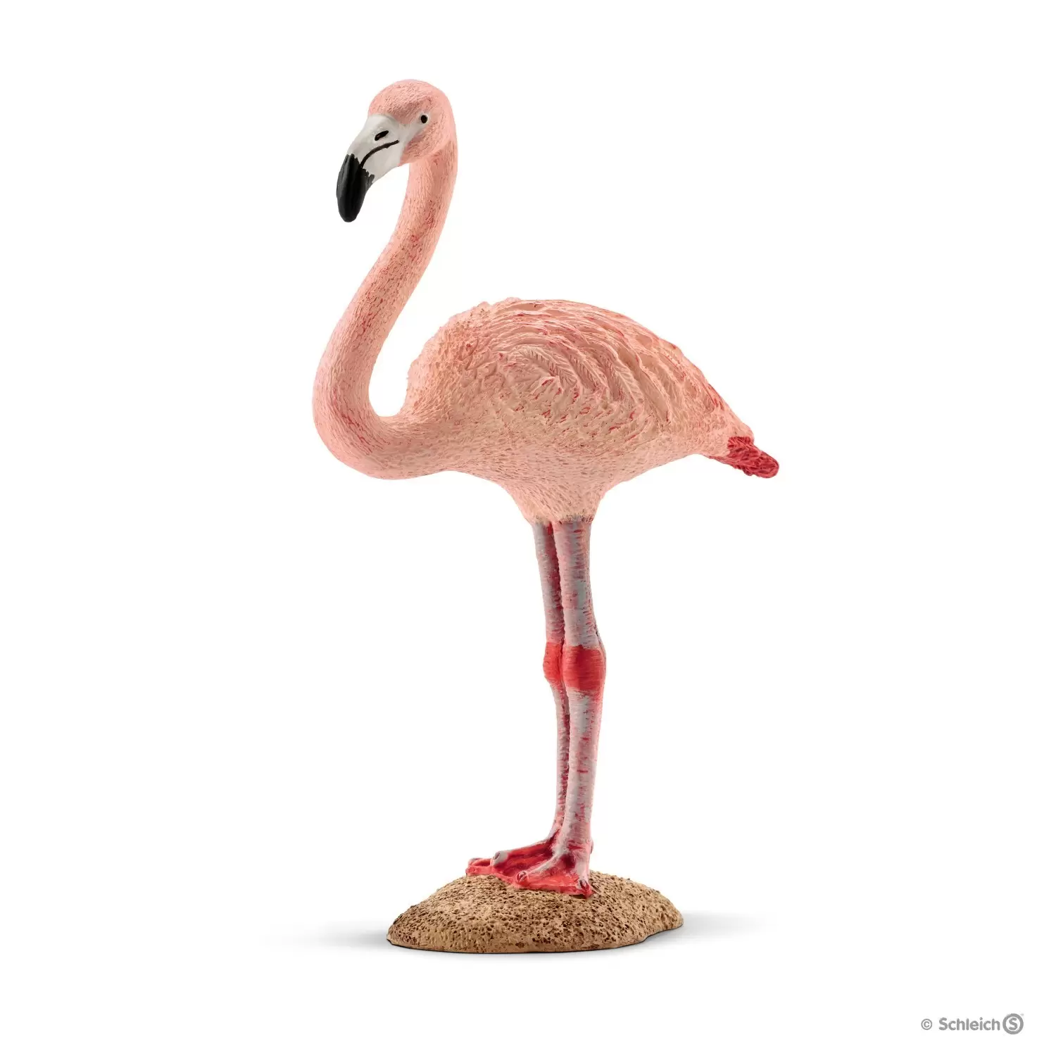 Wild Life - Flamant rose