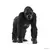 Wild Life - Gorille, femelle