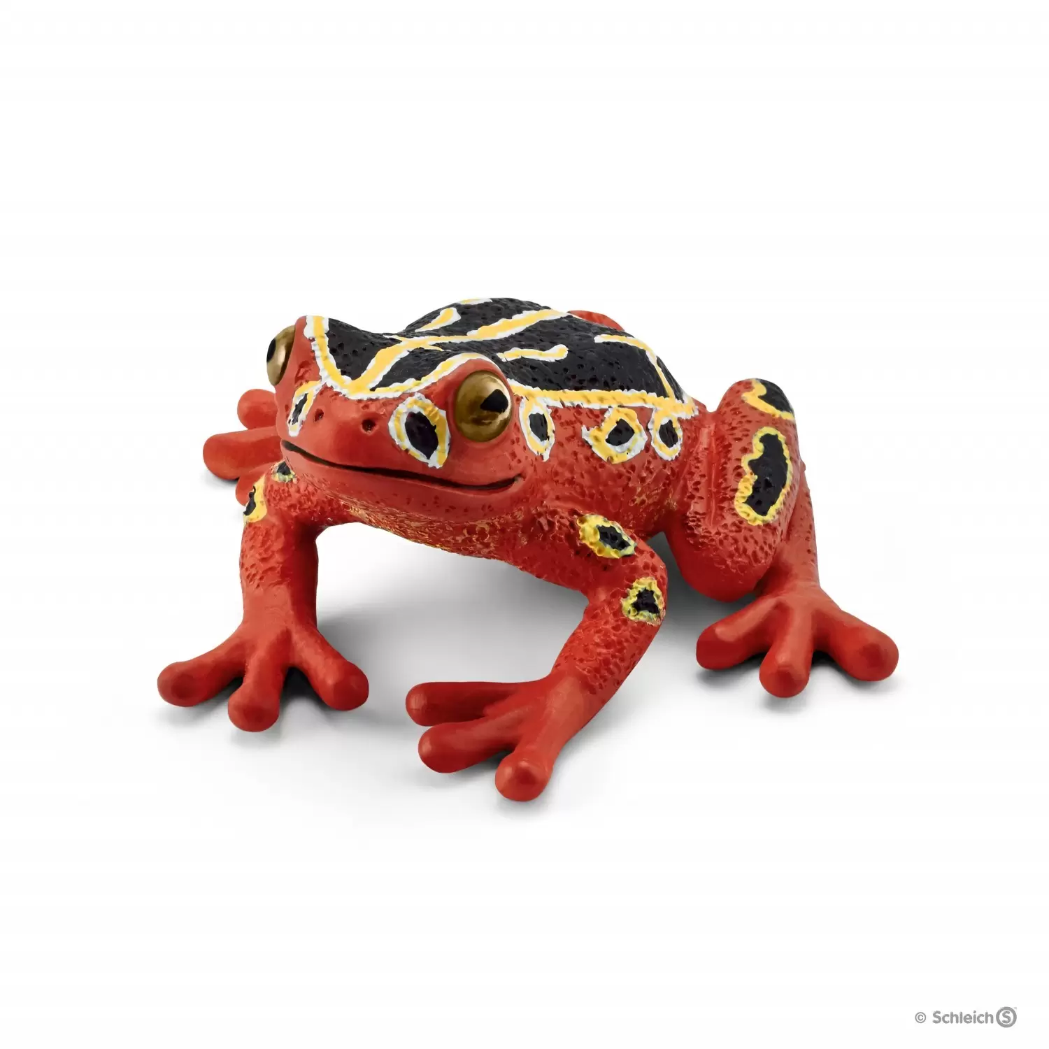 Wild Life - Grenouille d\'Afrique