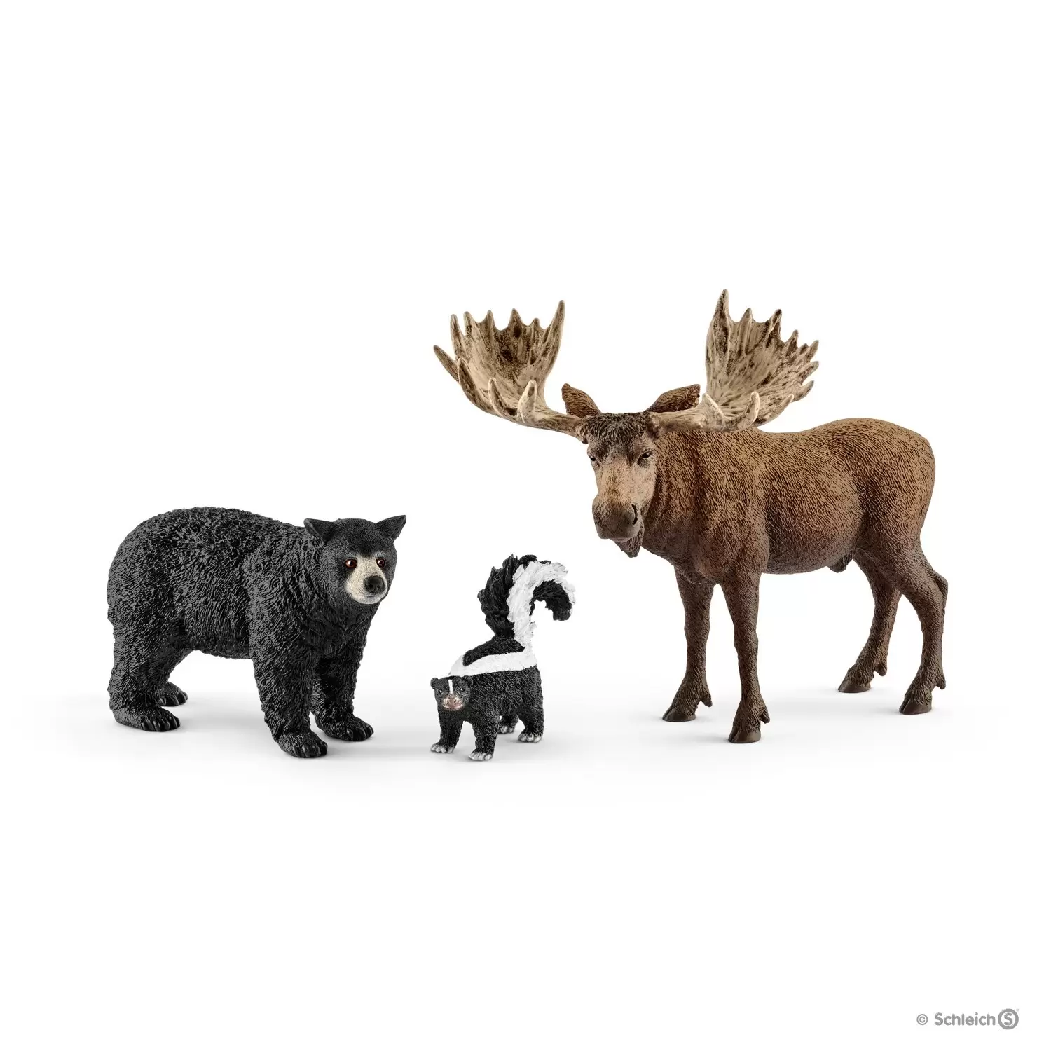Wild Life - Habitants de la forêt Amérique du Nord