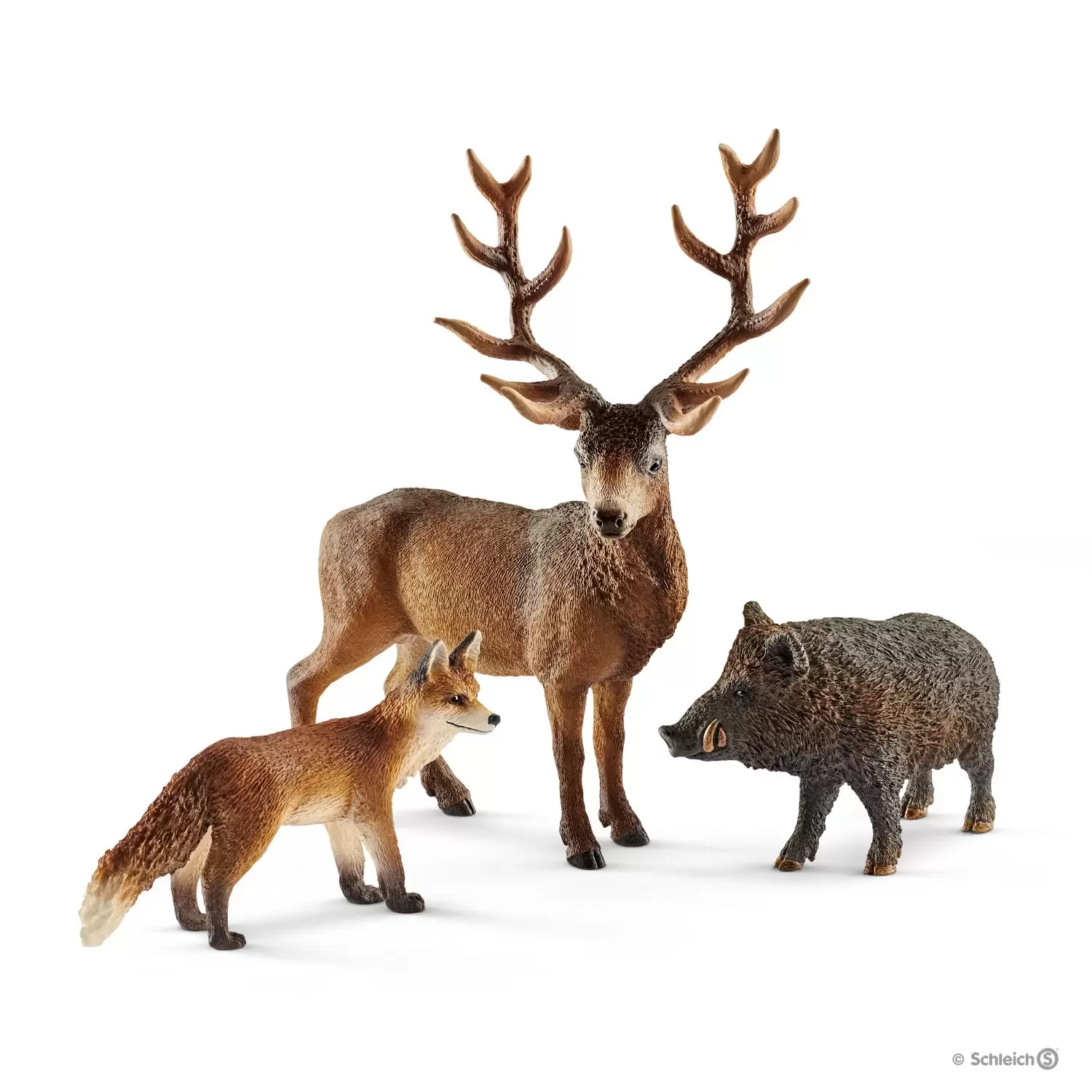 Wild Life - Habitants de la forêt Europe