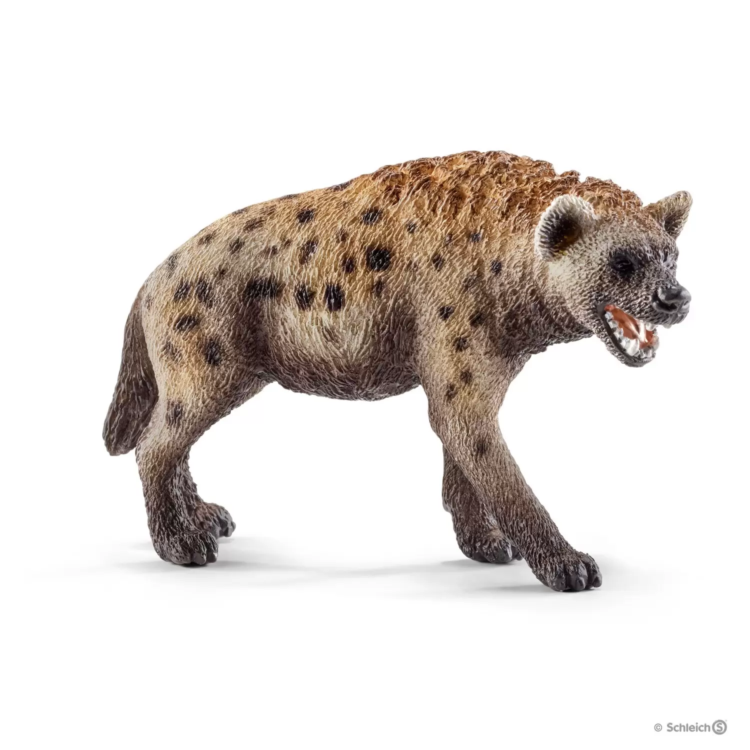 Wild Life - Hyène