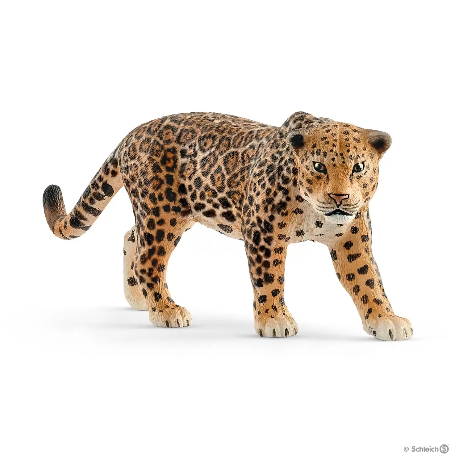 Wild Life - Jaguar