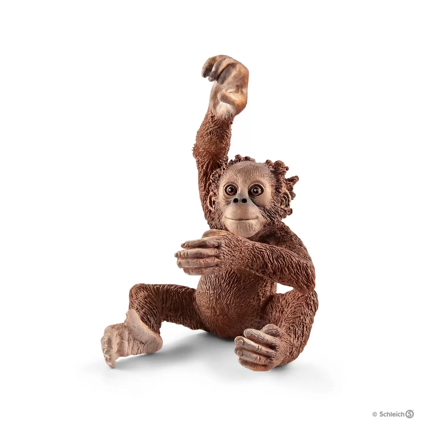 Wild Life - Jeune orang-outan
