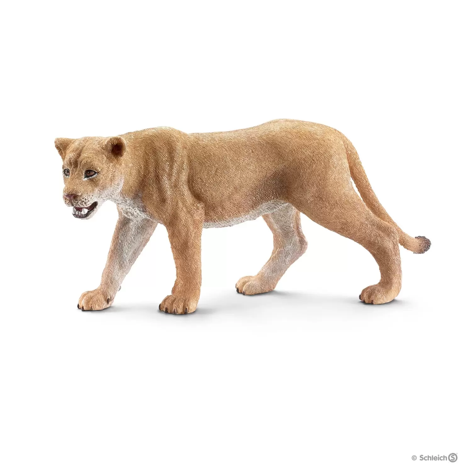 Wild Life - Lionne