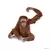 Wild Life - Orang-outan, femelle