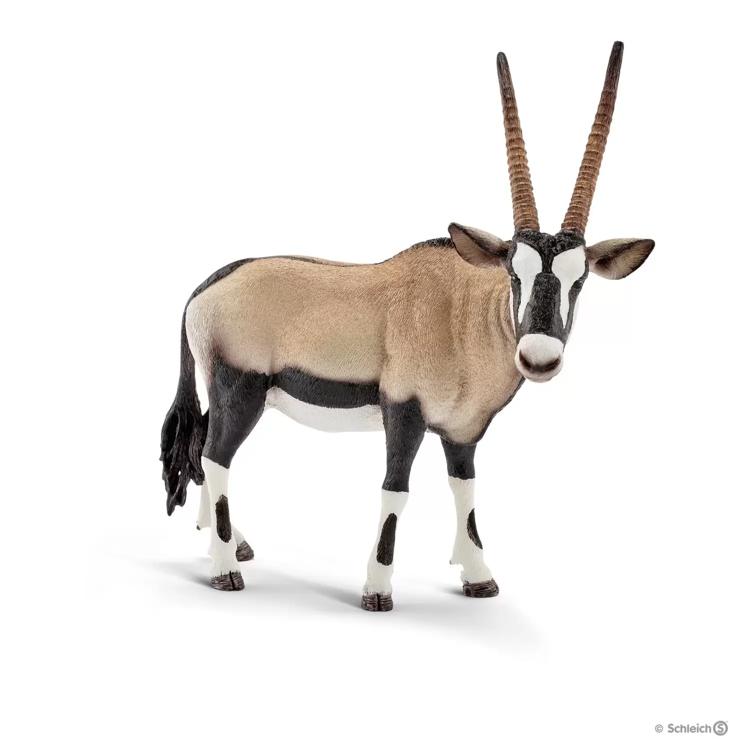 Wild Life - Oryx