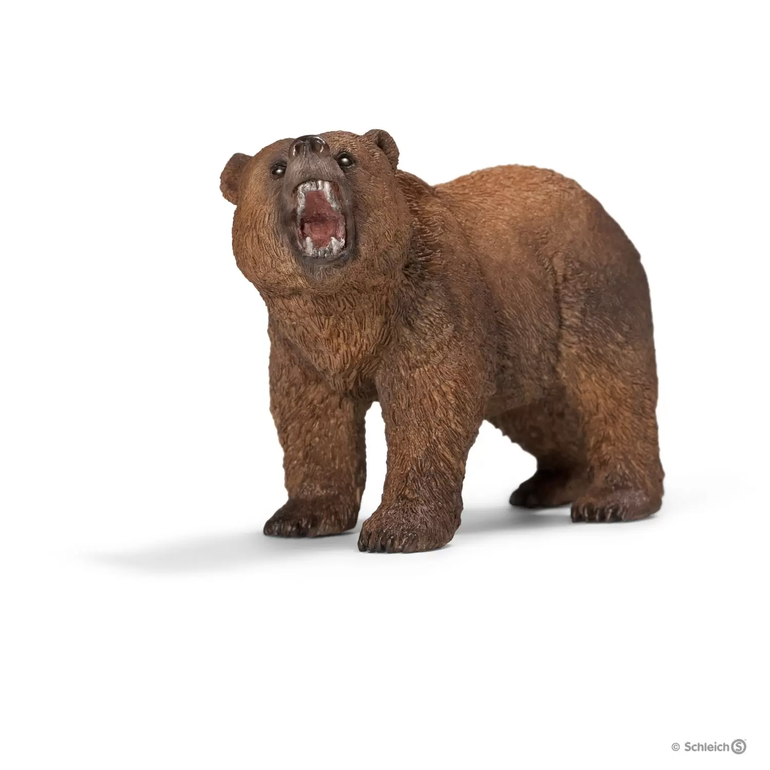 Wild Life - Ours Grizzly