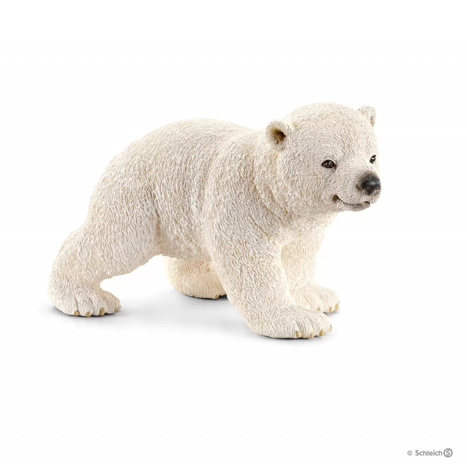 Wild Life - Ourson polaire marchant