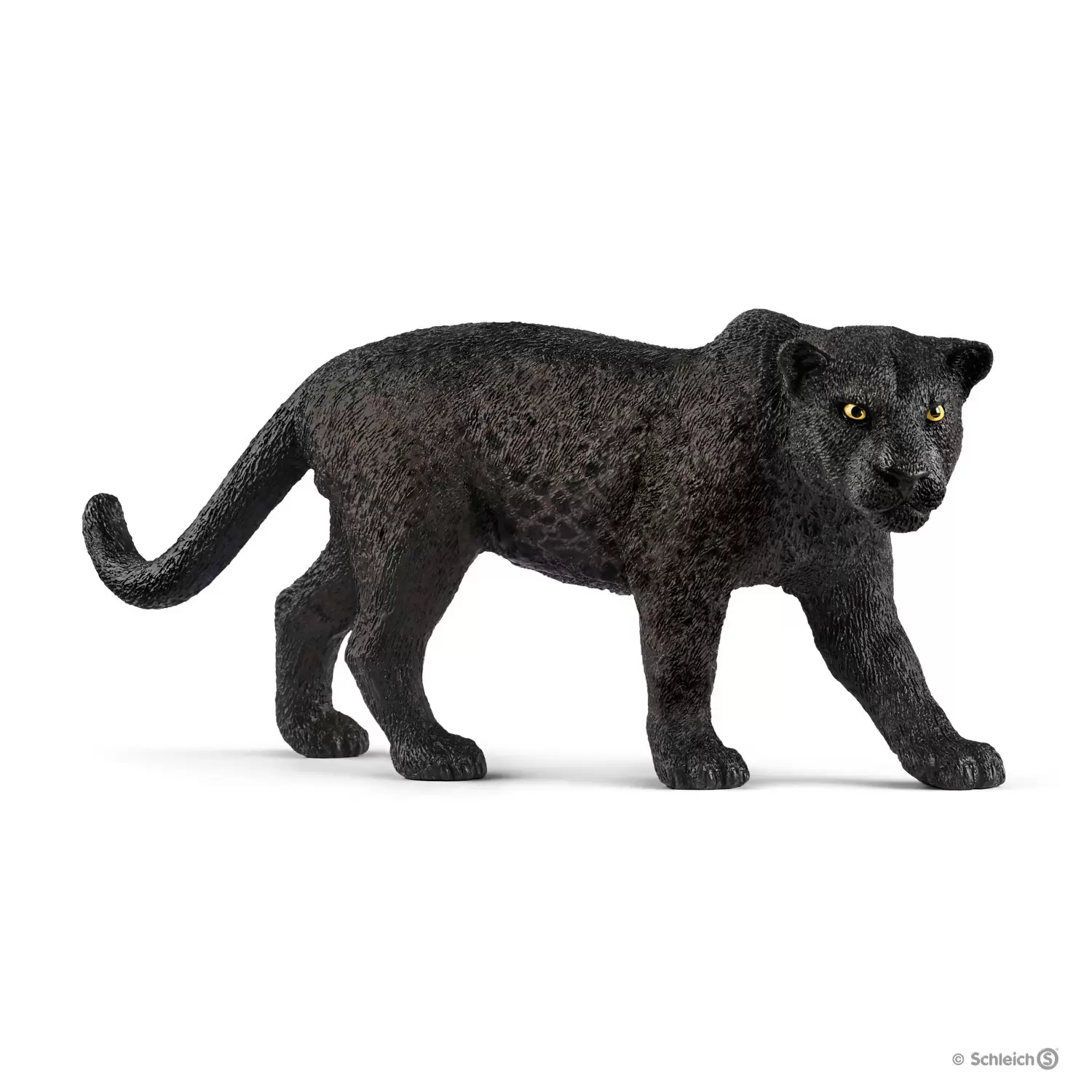 Wild Life - Panthère noire