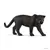 Wild Life - Panthère noire